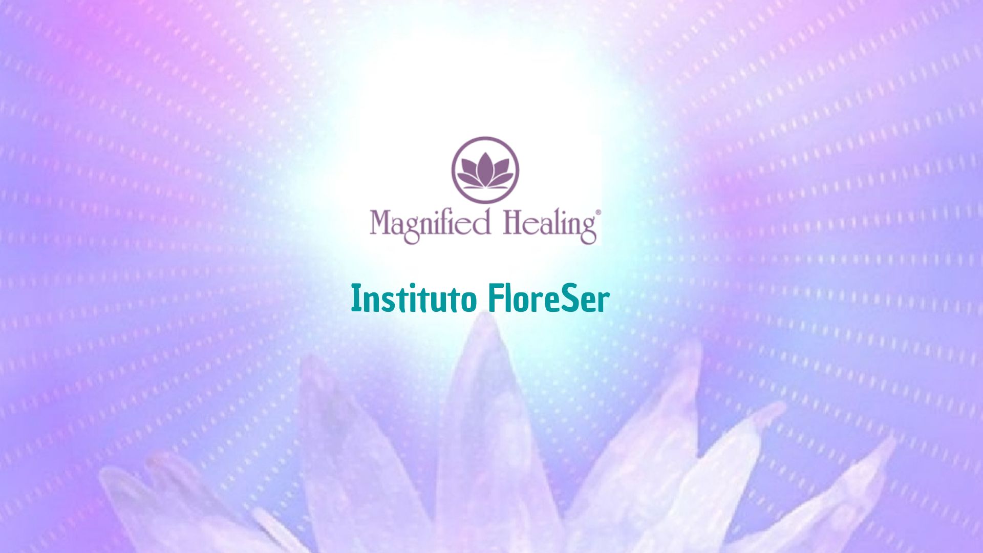 SLIDE MAGNIFIED HEALING 8 SLIDE MAGNIFIED HEALING 8